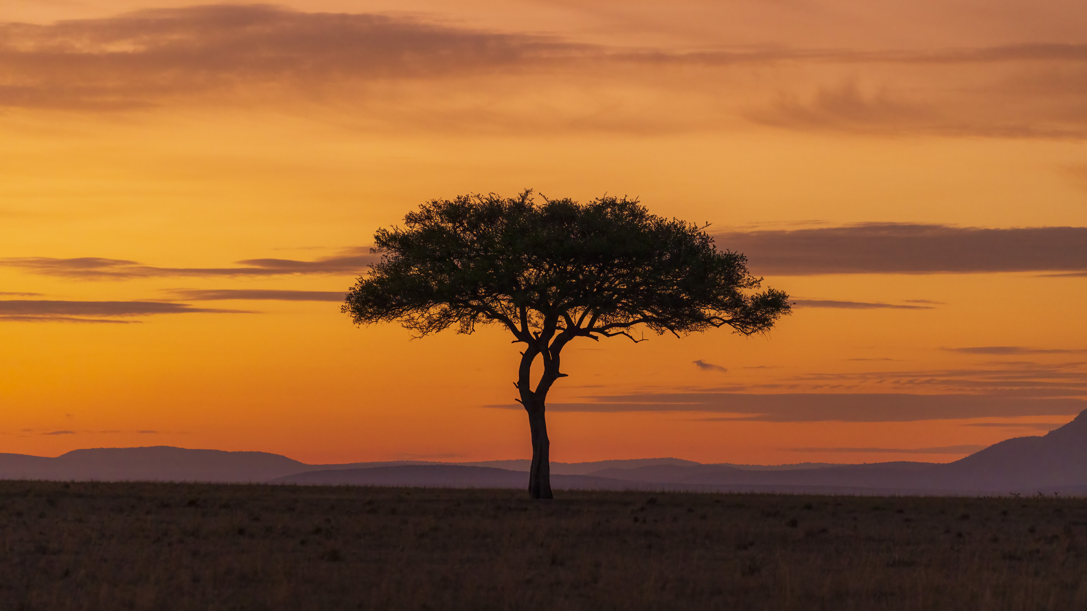 November 12, 2022-055144-Edit.jpg